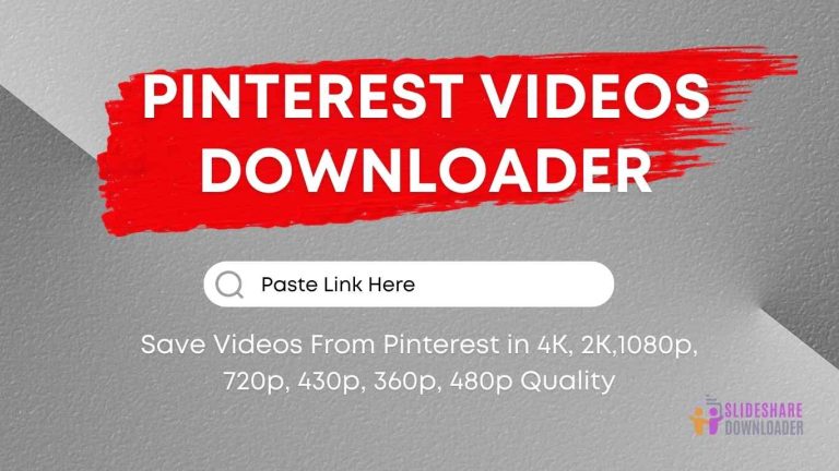How to Download Videos From Pinterest Using a Pinterest Video Downloader?